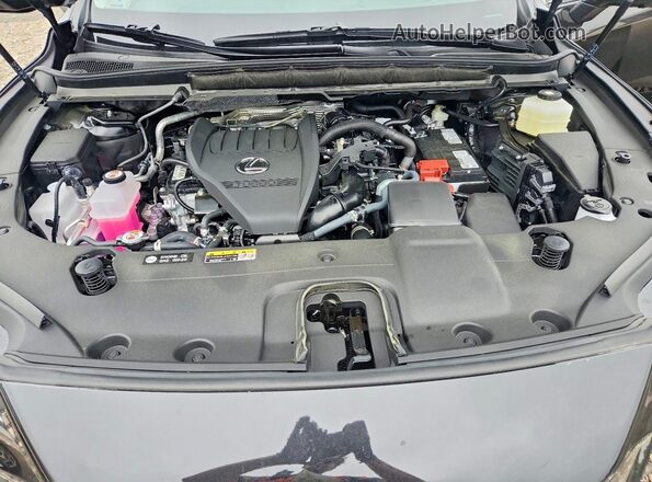 2T2BAMCAXTC148745 2026 LEXUS RX Black Engine compartment view