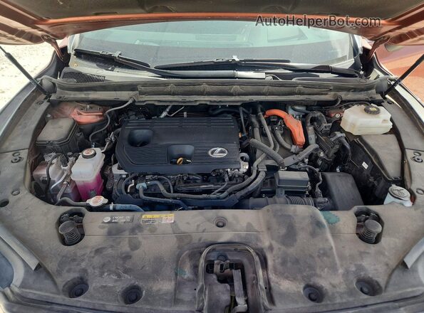 2T2BBMCA0PC013910 2023 LEXUS RX Brown Սալոնի հետևի տեսք