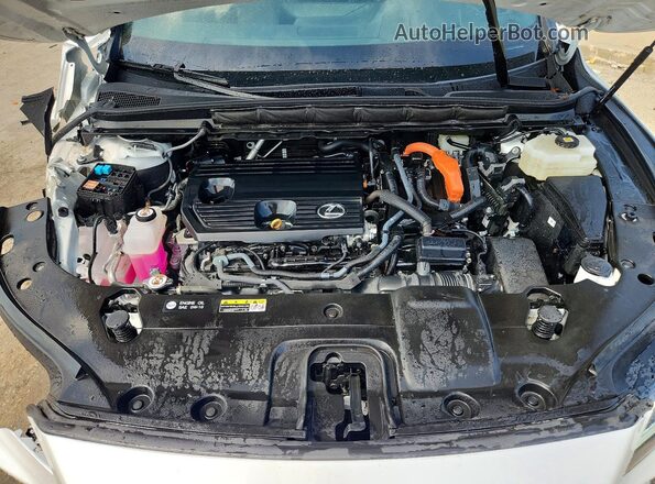 2T2BBMCA2PC002276 2023 LEXUS RX Белый Вид задней части салона