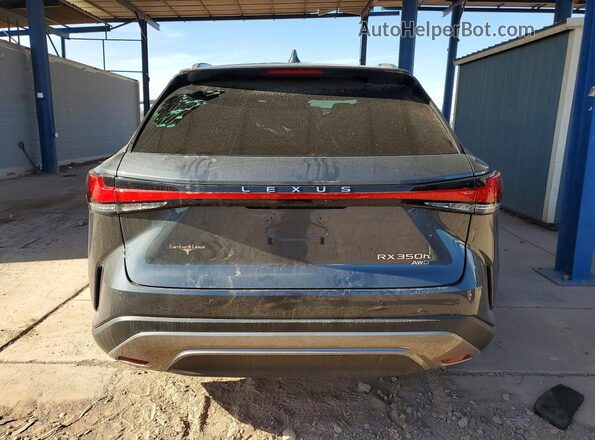 2T2BBMCA6RC058059 2024 LEXUS RX Серый Вид сзади