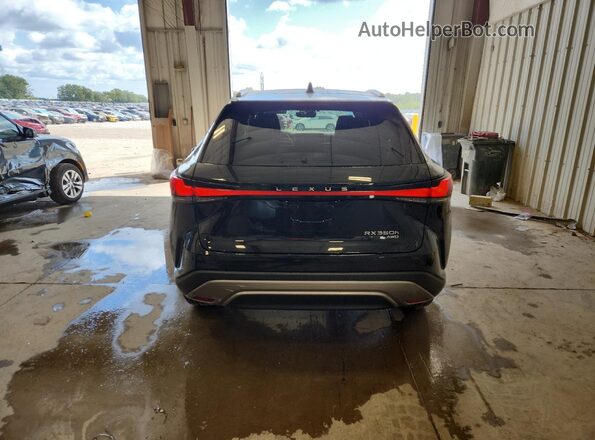 2T2BBMCA9SC073094 2025 LEXUS RX Black Rear view