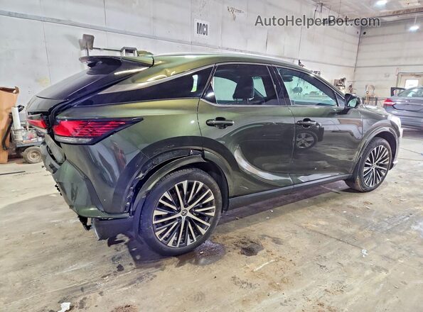 2T2BBMCAXRC038428 2024 LEXUS RX Green უკანა მარჯვენა