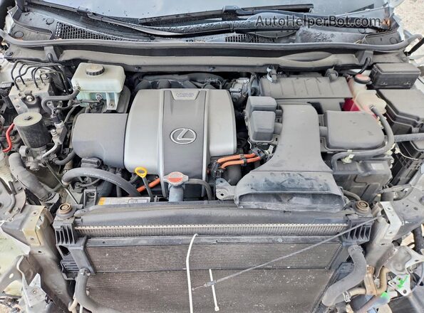2T2BGMCA2HC014222 2017 LEXUS RX White უკანა სალონის ხედი