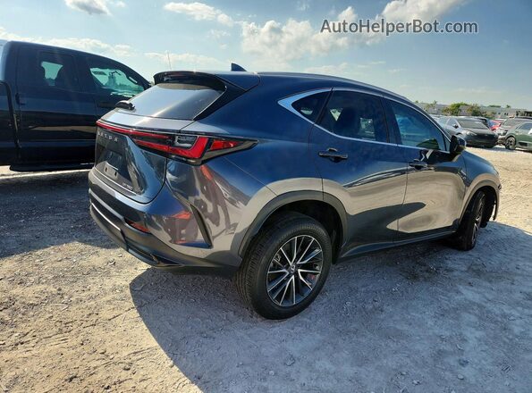 2T2GDCAZ0RC009197 2024 LEXUS NX Gray Tył prawy