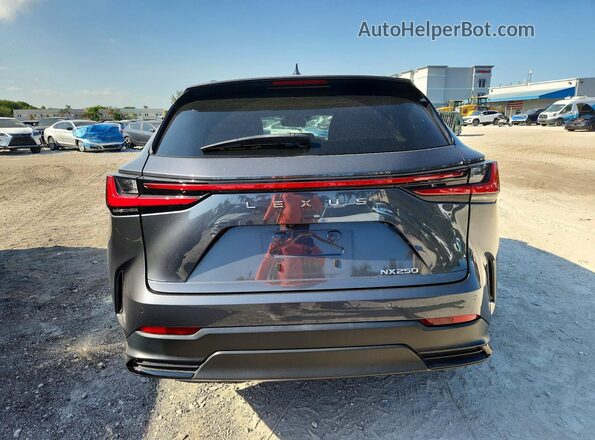 2T2GDCAZ0RC009197 2024 LEXUS NX Gray Widok z tyłu