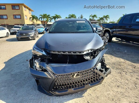 2T2GDCAZ0RC009197 2024 LEXUS NX Gray Widok z przodu