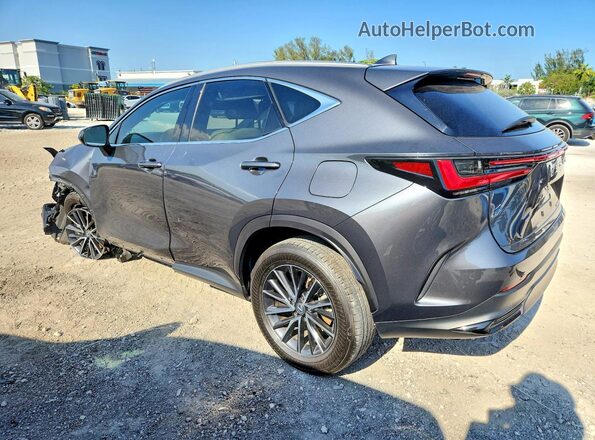 2T2GDCAZ0RC009197 2024 LEXUS NX Gray Tył lewy