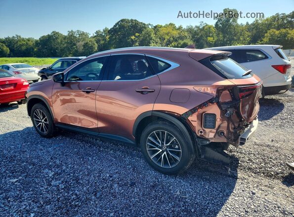 2T2GDCAZ2SC020854 2025 LEXUS NX Brown Trasero izquierdo