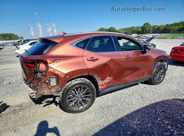 2T2GDCAZ2SC020854 2025 LEXUS NX Brown Trasero derecho