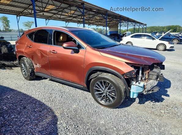 2T2GDCAZ2SC020854 2025 LEXUS NX Brown Delantero derecho