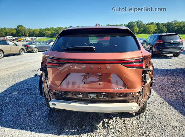 2T2GDCAZ2SC020854 2025 LEXUS NX Brown Vista trasera