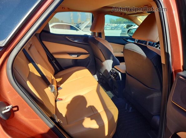 2T2GDCAZ2SC020854 2025 LEXUS NX Brown Vista de los asientos traseros