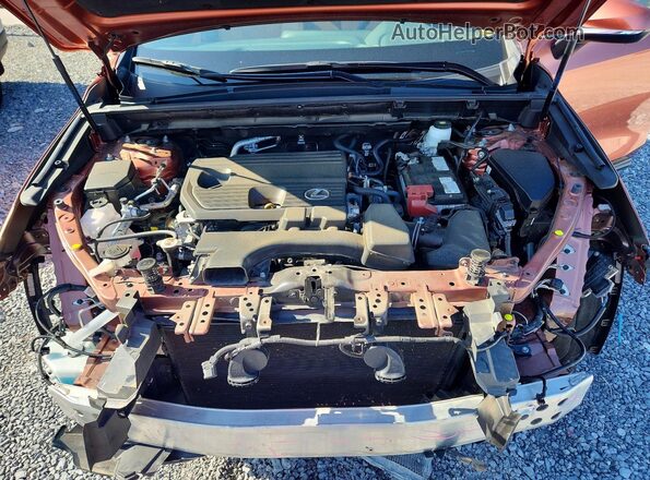 2T2GDCAZ2SC020854 2025 LEXUS NX Brown Vista interior trasera