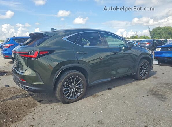 2T2GDCAZ2SC020935 2025 LEXUS NX Зеленый Задняя правая четверть