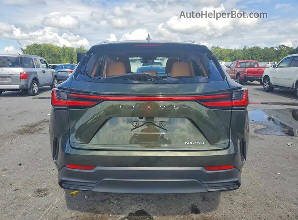2T2GDCAZ2SC020935 2025 LEXUS NX Зеленый Вид сзади