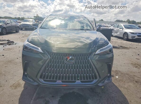 2T2GDCAZ2SC020935 2025 LEXUS NX Зеленый Вид спереди