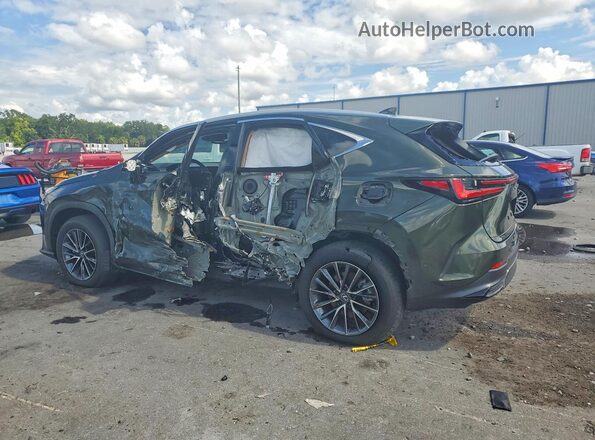 2T2GDCAZ2SC020935 2025 LEXUS NX Зеленый Задняя левая четверть