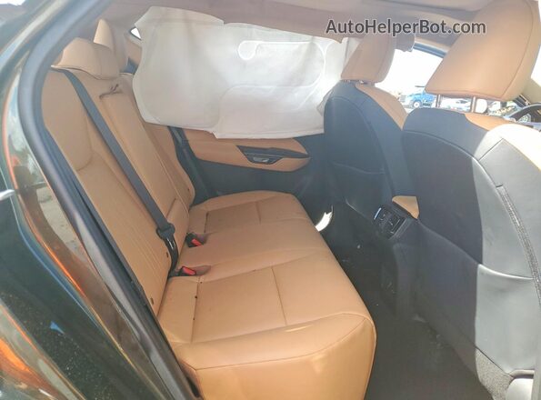 2T2GDCAZ2SC020935 2025 LEXUS NX Зеленый Вид задней части салона