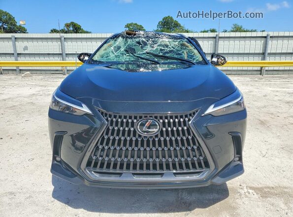 2T2GDCAZ2SC022880 2025 LEXUS NX Black Դիմացի տեսք