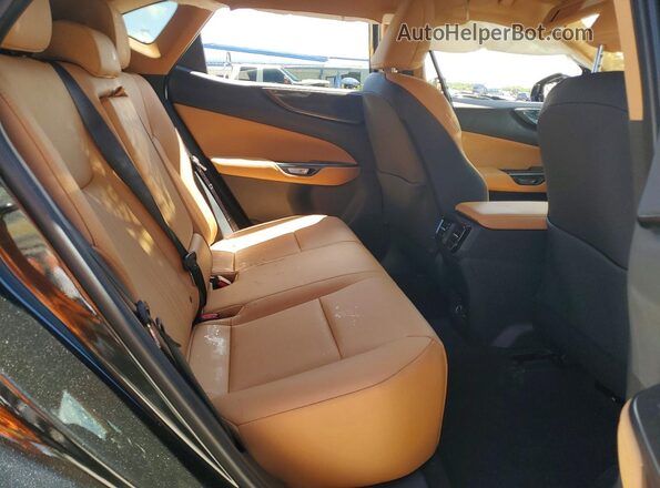 2T2GDCAZ2SC022880 2025 LEXUS NX Black Սալոնի հետևի տեսք