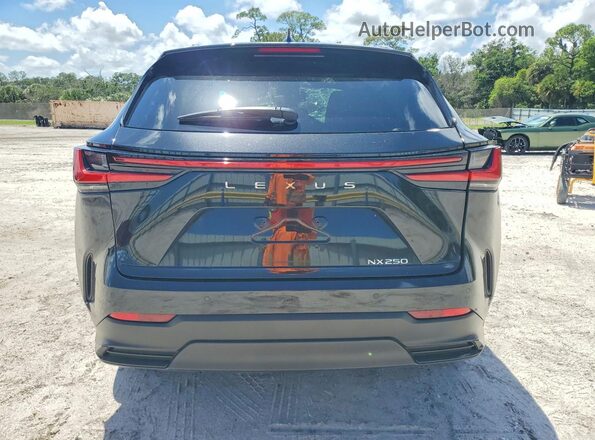 2T2GDCAZ2SC022880 2025 LEXUS NX Black Հետևի տեսք