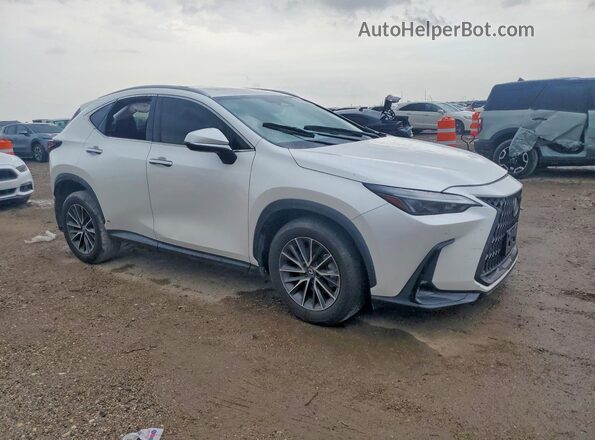 2T2GDCAZ4RC014130 2024 LEXUS NX White Front right