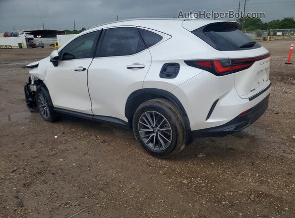 2T2GDCAZ4RC014130 2024 LEXUS NX White Rear left