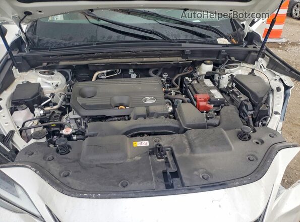 2T2GDCAZ4RC014130 2024 LEXUS NX White Rear interior view