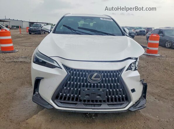2T2GDCAZ4RC014130 2024 LEXUS NX White Front view