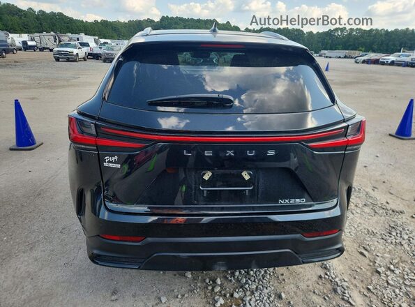 2T2GDCAZ4SC024470 2025 LEXUS NX Black Widok z tyłu