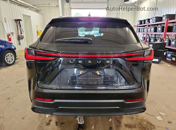 2T2GDCAZ5RC007722 2024 LEXUS NX Black Widok z tyłu