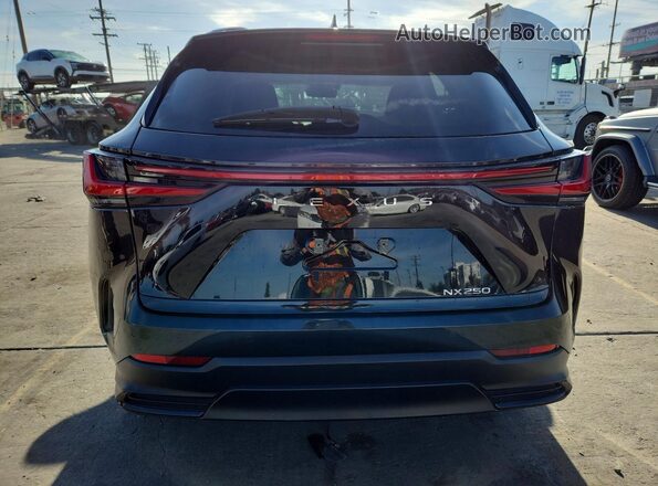 2T2GDCAZ9RC008744 2024 LEXUS NX Black უკანა ხედი