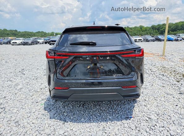 2T2GDCAZ9RC013524 2024 LEXUS NX Black Widok z tyłu