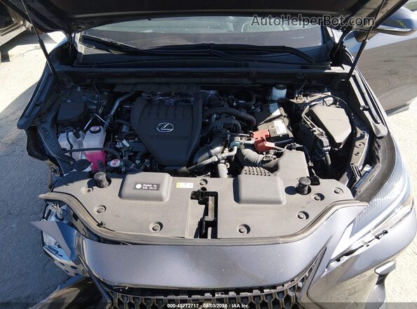 2T2GGCEZ0PC020375 2023 LEXUS NX 350 Gray Вид ззаду