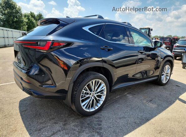 2T2GGCEZ0SC066474 2025 LEXUS NX Charcoal უკანა ხედი