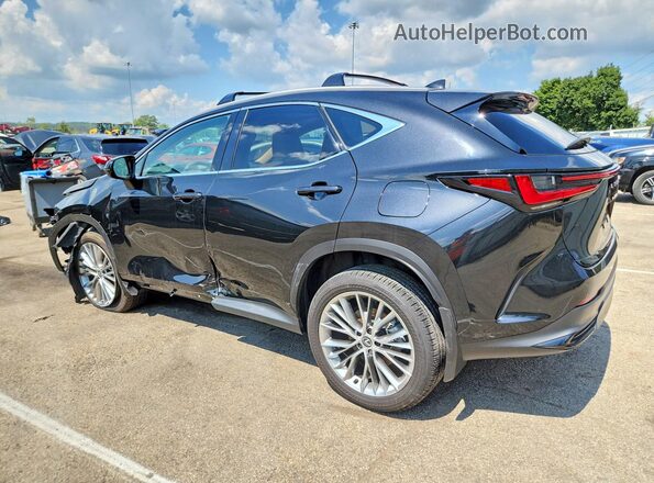2T2GGCEZ0SC066474 2025 LEXUS NX Charcoal წინა მარჯვენა