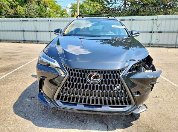 2T2GGCEZ0SC066474 2025 LEXUS NX Charcoal უკანა სავარძლების ხედი