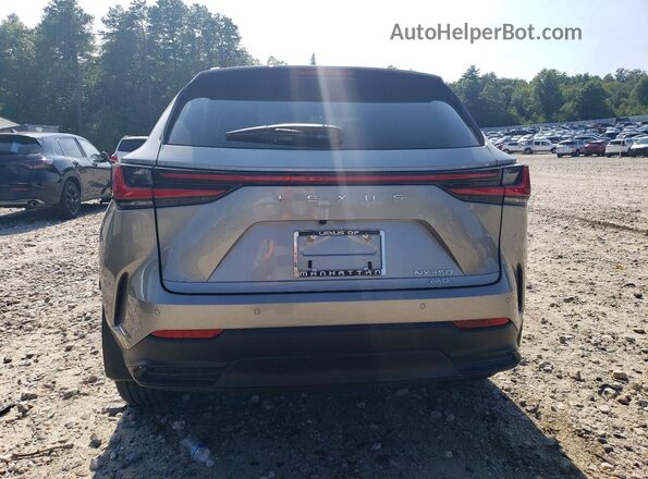 2T2GGCEZ1SC061235 2025 LEXUS NX Серебряный Вид сзади