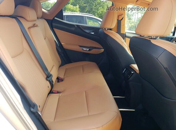 2T2GGCEZ1SC061235 2025 LEXUS NX Серебряный Вид задних сидений