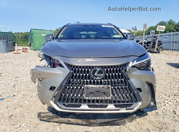 2T2GGCEZ1SC061235 2025 LEXUS NX Серебряный Вид спереди