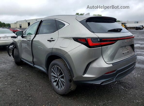 2T2GGCEZ1SC076723 2025 LEXUS NX Gray Tył lewy