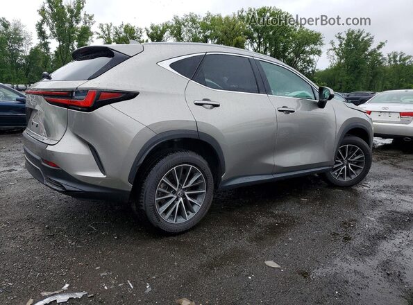 2T2GGCEZ1SC076723 2025 LEXUS NX Gray Tył prawy