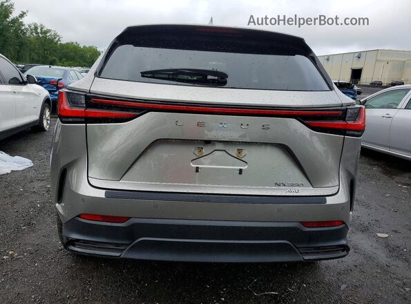2T2GGCEZ1SC076723 2025 LEXUS NX Gray Widok z tyłu