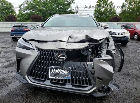 2T2GGCEZ1SC076723 2025 LEXUS NX Gray Widok z przodu