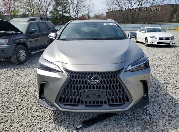 2T2GGCEZ2RC041179 2024 LEXUS NX Beige წინა ხედი