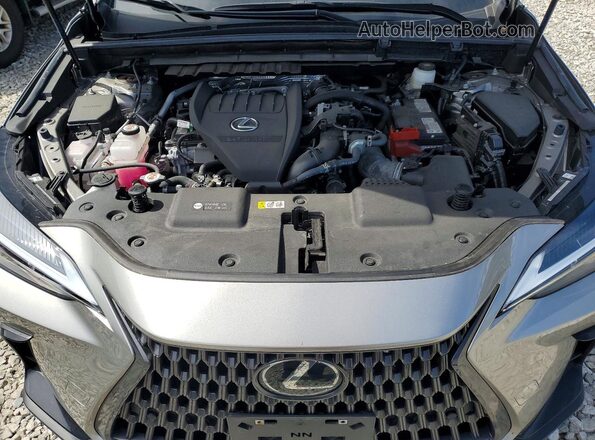 2T2GGCEZ2RC041179 2024 LEXUS NX Beige ძრავის განყოფილების ხედი