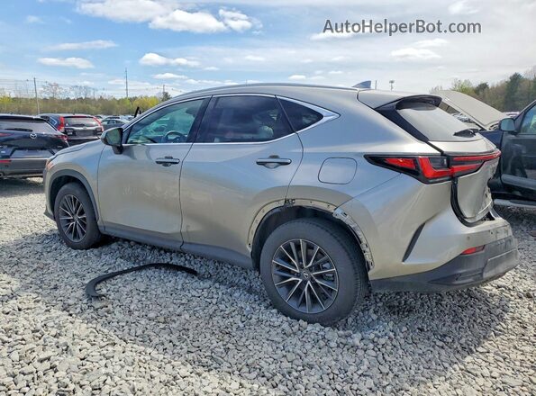 2T2GGCEZ2RC041179 2024 LEXUS NX Beige უკანა მარცხენა