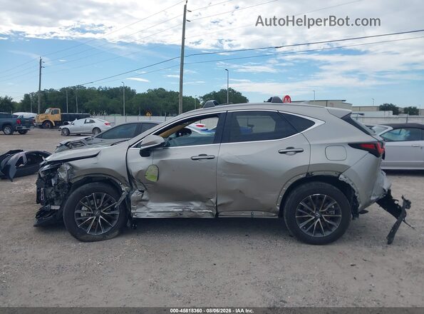 2T2GGCEZ3PC031564 2023 LEXUS NX 350 Серый Панорамный вид салона 360°