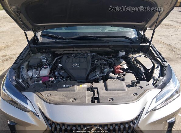2T2GGCEZ3RC040087 2024 LEXUS NX 350 Gray Vista trasera