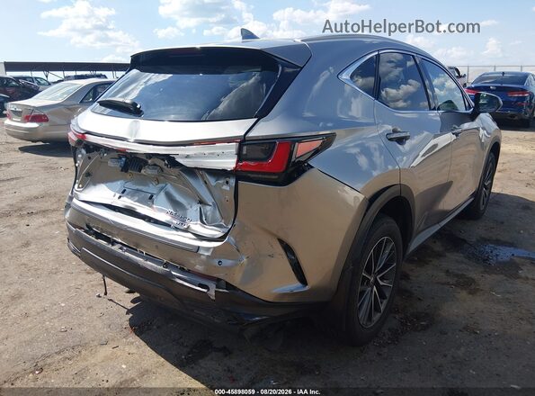 2T2GGCEZ3RC040087 2024 LEXUS NX 350 Gray 